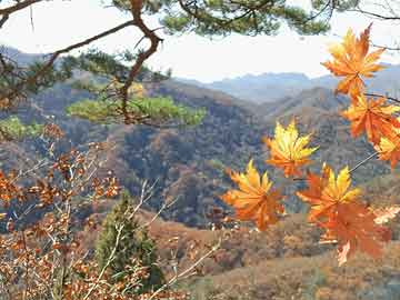 扬州西湖公馆最新动态概览